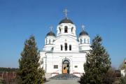 Лискинский