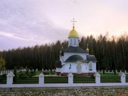 Медынский