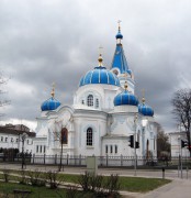Елгавский