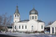 Троицкий