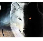 wolfoff